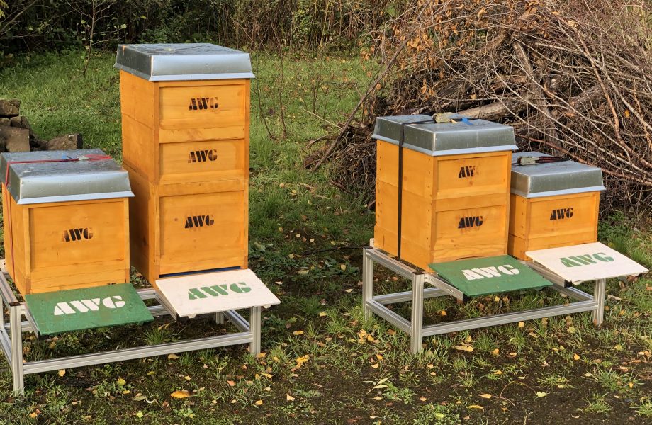 Colmenas de actividad