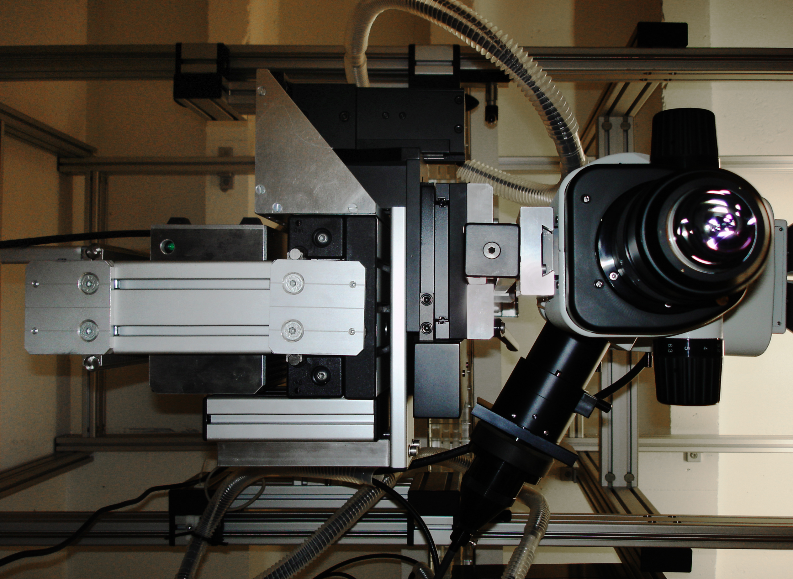 Neurobiologie in Aktion: Die flexible Mikroskopkamera