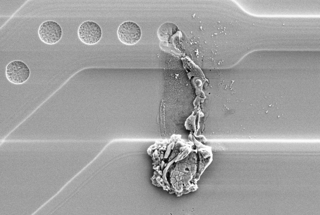 ESD-Schaden feststellen – mit dem Elektronenmikroskop
