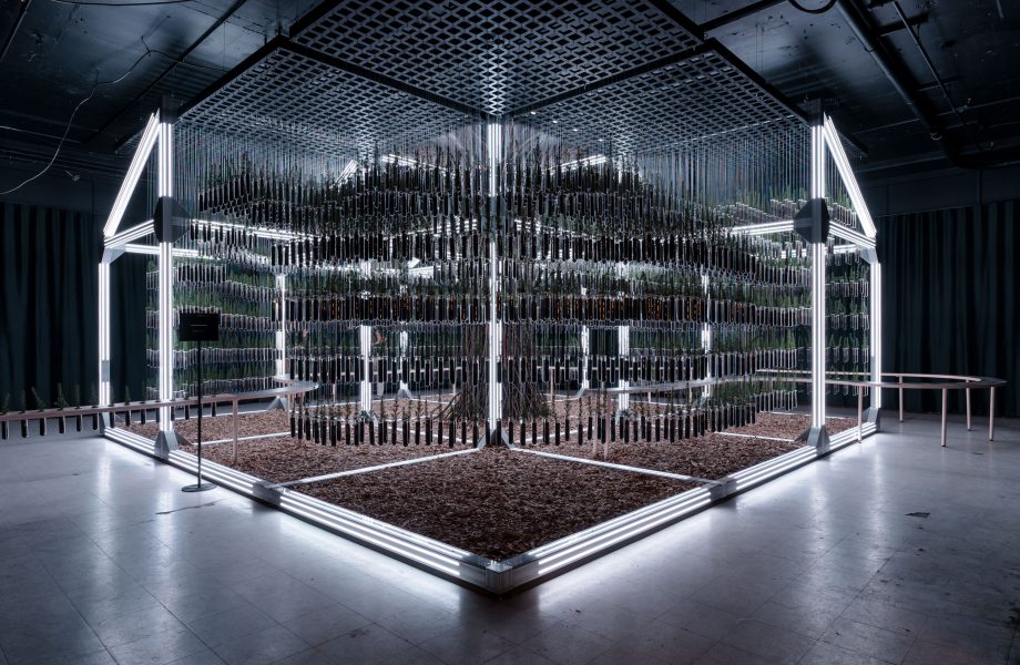 La nature comme modèle : une architecture qui parle à tous les sens